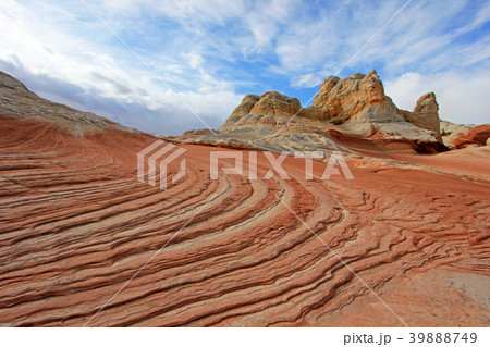 Butterfly, a rock formation at White Pocket 39888749