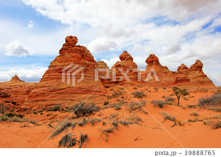 Cottonwood Teepees, a rock formation near The Wave 39888765