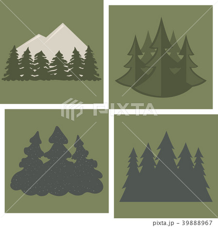 Tree outdoor travel pine silhouette coniferous 39888967