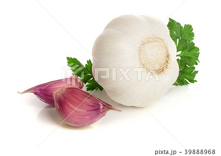 garlic with parsley leaf isolated on white 39888968