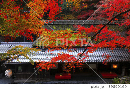 11月秋 平野屋 京都嵯峨野の茶屋 の写真素材