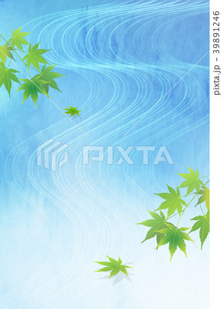 海　もみじ　暑中見舞い　背景  39891246