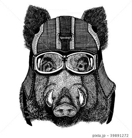 Wild hog, pig, aper, boar. Animal wearing 39891272
