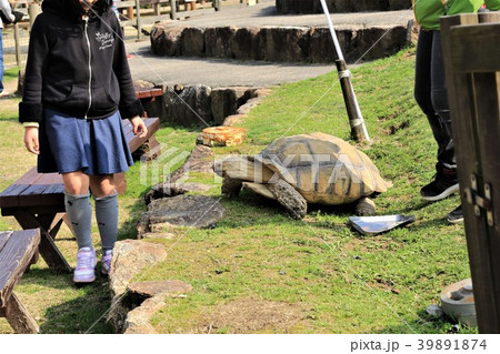 道の駅丹後王国「食のみやこ」（京都府） 39891874