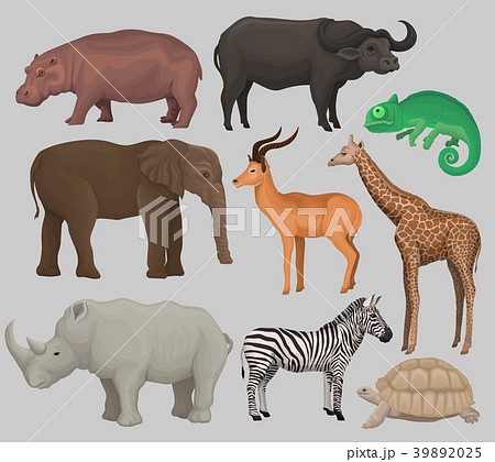 Wild african animals set, hippopotamusのイラスト素材 [39892025