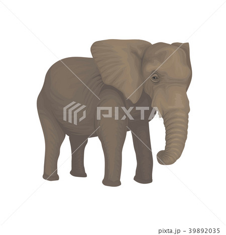 Elephant wild safari animal vector Illustration on 39892035