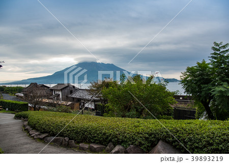 鹿児島 秋の仙巌園から見る桜島 鹿児島 秋の仙巌園から見る桜島 39893219