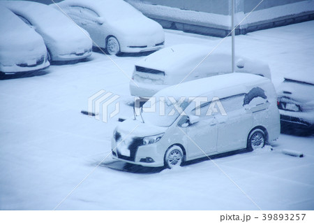 雪に埋もれた車たち 雪に埋もれた車たち 39893257
