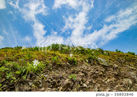 沖縄・石垣島・平久保崎 沖縄・石垣島・平久保崎 39893846