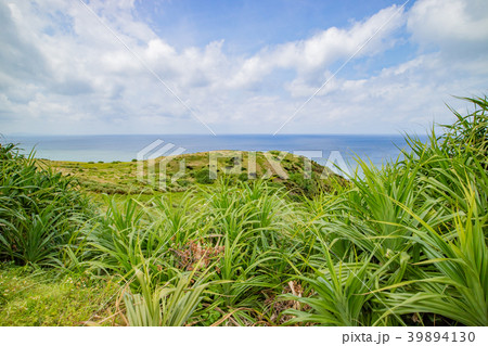 沖縄・石垣島・平久保崎からの景色 39894130
