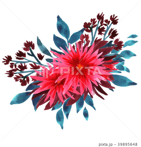 Watercolor spider flowers bouquet 39895648