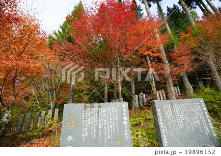 呑山観音寺　紅葉　福岡県篠栗町 39896152