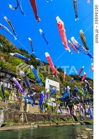 杖立温泉の鯉のぼり　【熊本県阿蘇郡小国町】 39896190