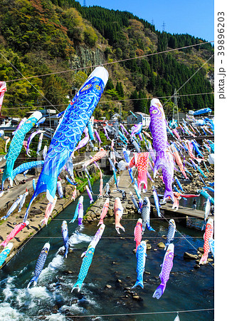 杖立温泉の鯉のぼり 【熊本県阿蘇郡小国町】 杖立温泉の鯉のぼり 【熊本県阿蘇郡小国町】 39896203
