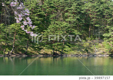 半田山自然公園 39897157