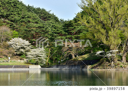 半田山自然公園 39897158