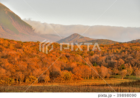 秋色の知床連山 秋色の知床連山 39898090
