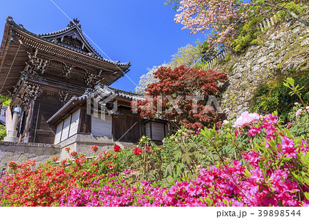 長谷寺　牡丹　つつじ　新緑 39898544