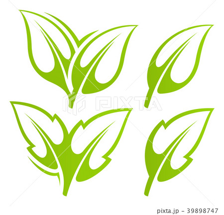 Green leaf set 39898747