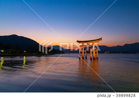 厳島神社の大鳥居(さざなみに浮かぶ鳥居) 厳島神社の大鳥居(さざなみに浮かぶ鳥居) 39899828