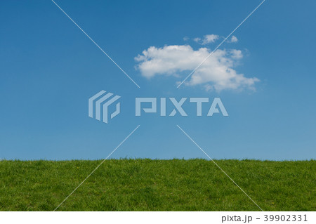 Blue sky  with one white cloud and a green grass  39902331
