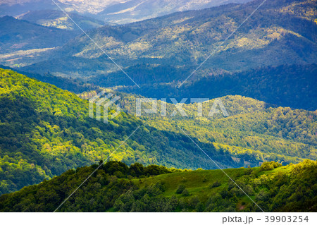 beautiful rolling hills of Carpathian mountains 39903254