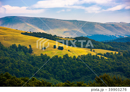 beautiful rolling hills of Carpathian mountains beautiful rolling hills of Carpathian mountains 39903276