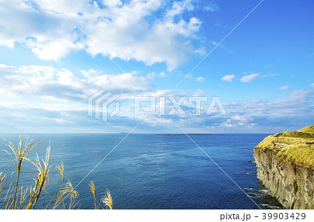 済州島 西帰浦市 海岸 39903429