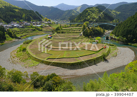 【あらぎ島】 和歌山県有田郡有田川町清水 【あらぎ島】 和歌山県有田郡有田川町清水 39904407