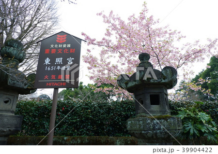 上野東照宮 39904422