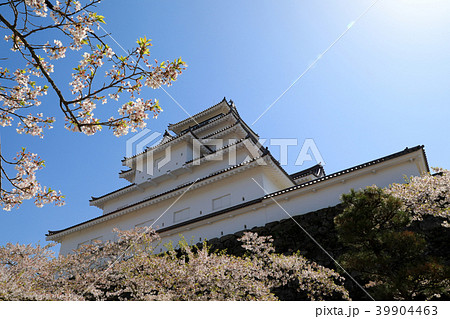 鶴ヶ城と満開の桜（福島県） 39904463