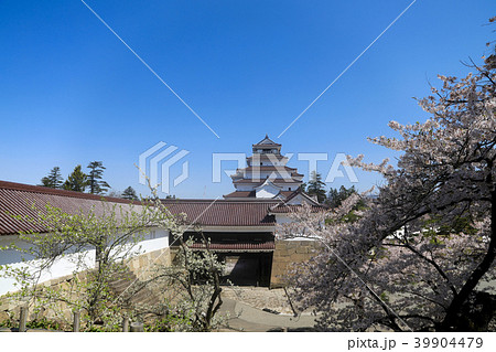 鶴ヶ城と満開の桜（福島県） 39904479