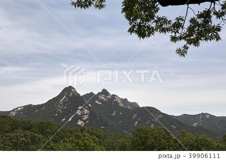京畿道 キョンギド 山 39906111
