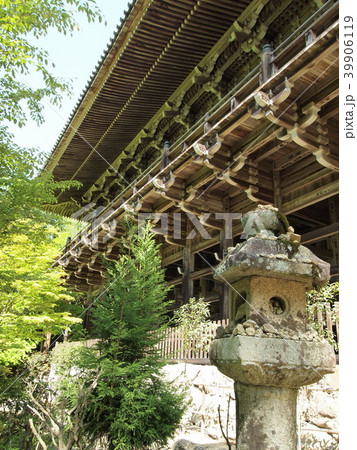 新緑の摩尼殿 新緑の摩尼殿 39906119