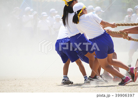 小学校の運動会 綱引きの写真素材