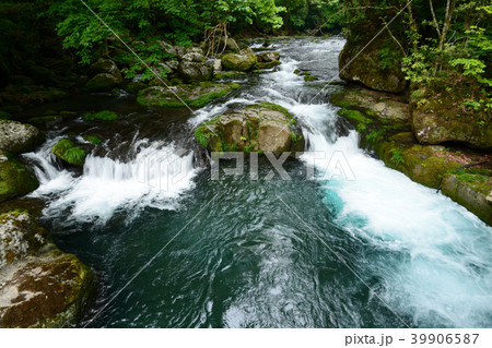 菊池渓谷 39906587