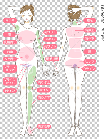 女性ボディイラストバーツ有り 39906793