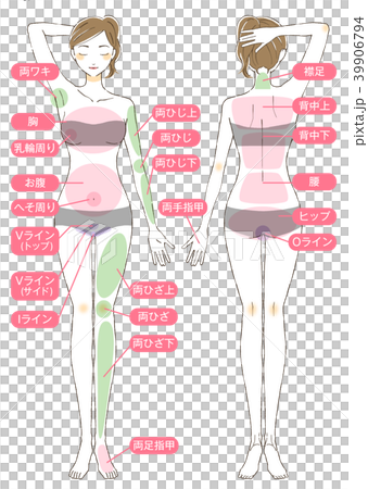 女性ボディイラストパーツ有り 39906794