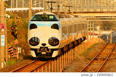 パンダくろしお号JR287 Panda face Express Train Kuroshio 73 39906862