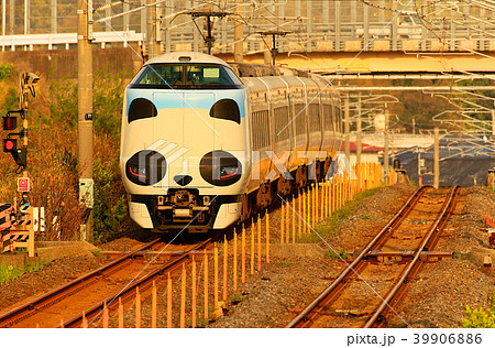 パンダくろしお号JR287 Panda face Express Train Kuroshio 74 39906886