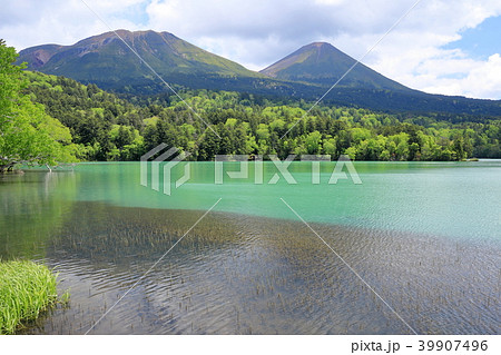 新緑のオンネトー 39907496