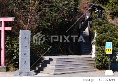 【国史跡】長浜城跡（伊豆国） 39907894