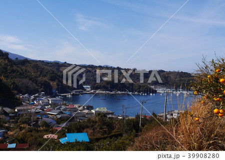 【国史跡】長浜城跡・遠景（伊豆国） 39908280