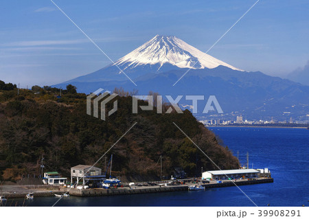 【国史跡】長浜城跡から見る富士山（伊豆国） 39908291