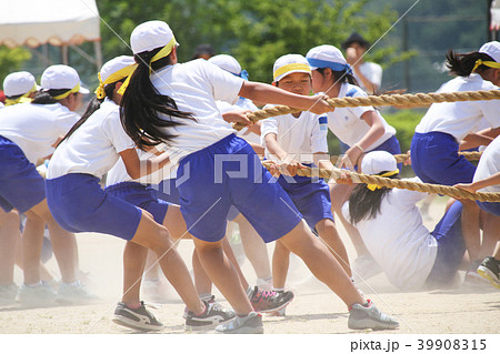 小学校の運動会 綱引きの写真素材 [39908315] - PIXTA