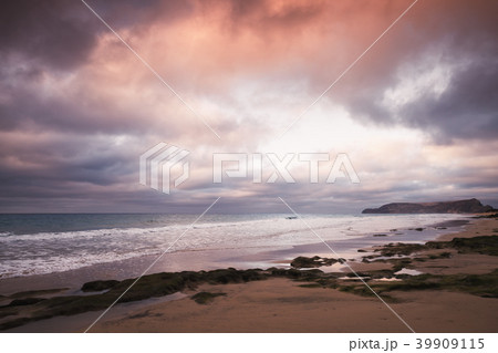 Wet stones with seaweed, beach landscape Wet stones with seaweed, beach landscape 39909115