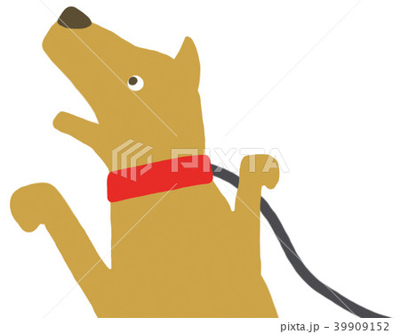 ペット わんちゃんのイラスト素材