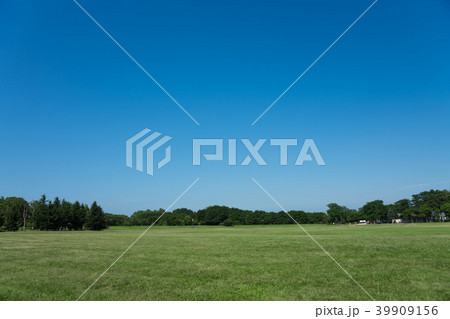 青空と芝生 39909156