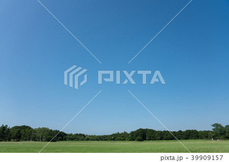 青空と芝生 青空と芝生 39909157