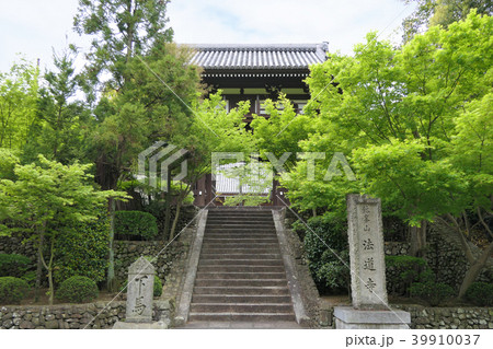 【法道寺 中門】 大阪府堺市南区鉢ケ峯寺401 39910037